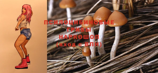 стаф Абдулино