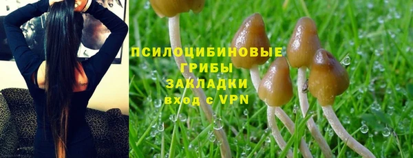 синтетический гашиш Покачи