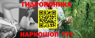 прущие грибы Кунгур