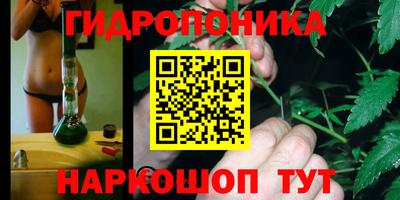 прущие грибы Кунгур