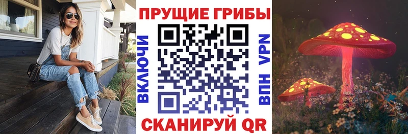 Псилоцибиновые грибы мицелий  darknet телеграм  Новоалтайск  наркотики 