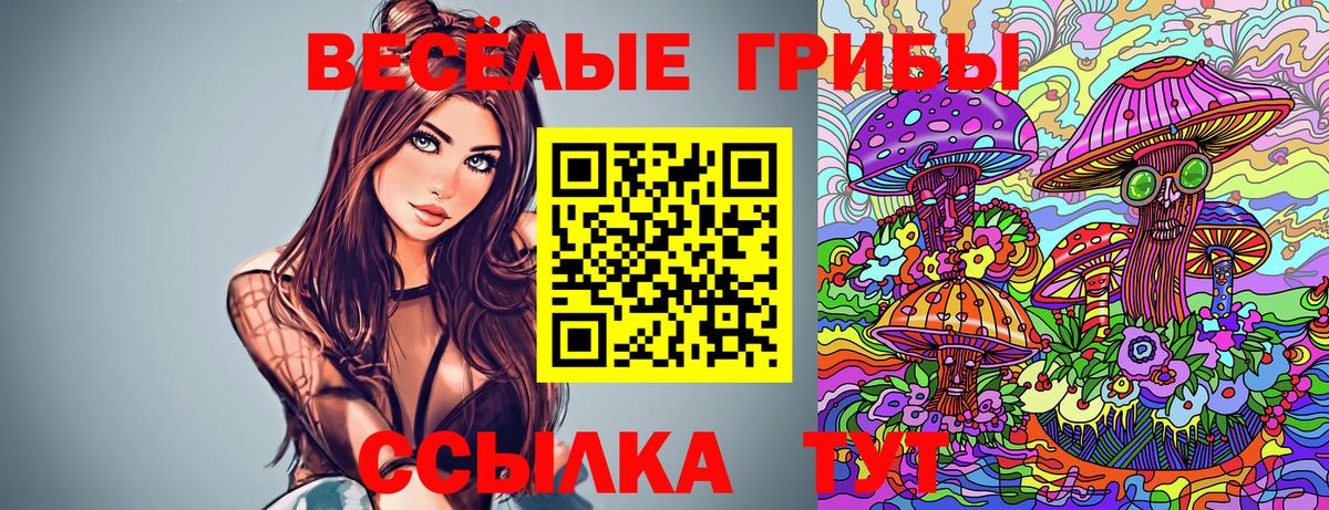 Галлюциногенные грибы Новоалтайск