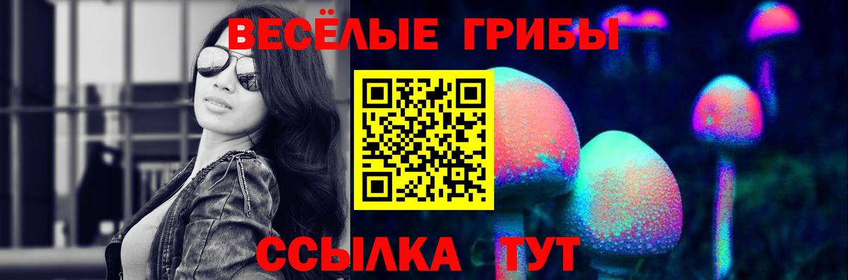 Галлюциногенные грибы Psilocybine cubensis Новоалтайск