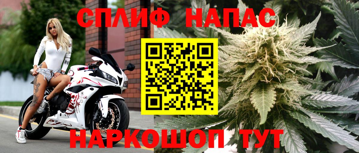 Шишки марихуана марихуана  Канабис White Widow  Вход с VPN  Бошки марихуана White Widow  Шишки марихуана VHQ  Новоалтайск 